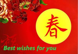 是 Best wishes to you 对还是 Best wishes for you 对 