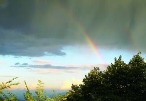 雨后彩虹 