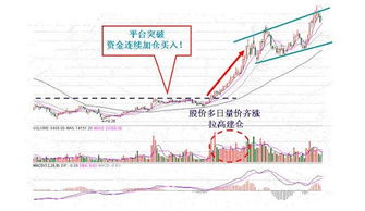 在现在的形式中怎么看出庄家在建仓，拉高吸盘和派发