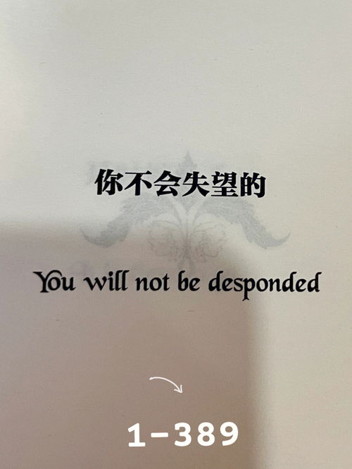 你不会失望的 You will not be desponded 