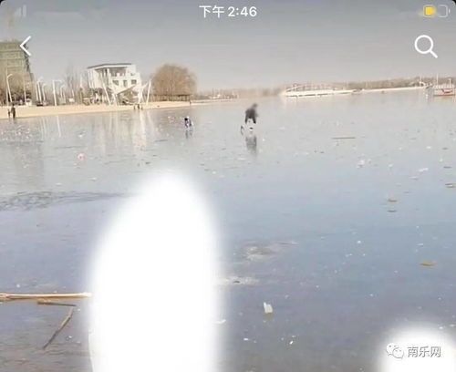 南乐西湖拍到的危险一幕,湖面结冰,孩子在冰面上玩耍,非常危险 家长 