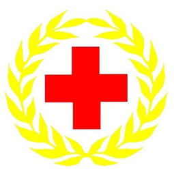 中国红十字会是什么性质的机构 