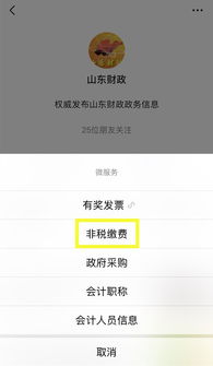 山东财政厅(山东财政微信公众号是什么)
