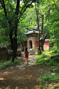 北京上方山