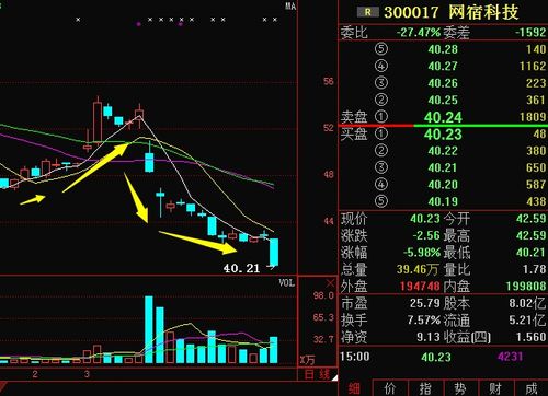 请教高手京东方A，庞大集团这两只股票怎么样？