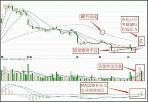 最近什么股张得最快 什么股张得最慢 什么股跌得最快