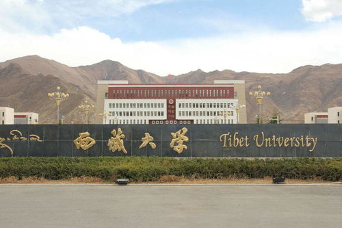 青海450分能考上什么大学