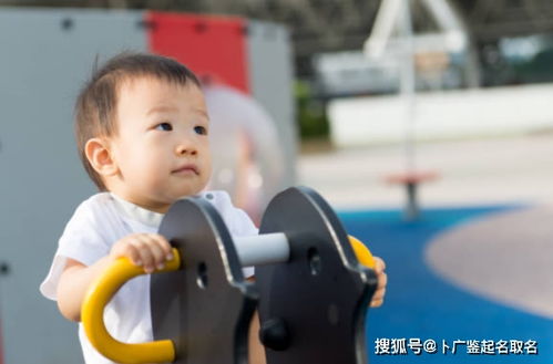 如何给牛宝宝起名,洋气稀少的张姓男孩名字大全