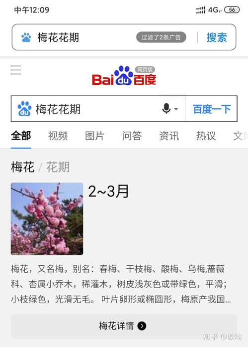 ao3被墙是什么意思(怎样看待肖战粉丝的疯狂举报ao3事件？)