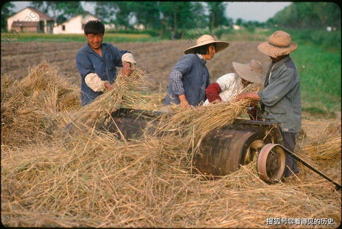 老照片 1982年江苏苏州的农民伯伯 戴着草帽在烈日下劳作