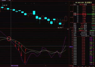 如果多项技术指标都显示一支股票要涨，它是不是一定会涨？为什么？