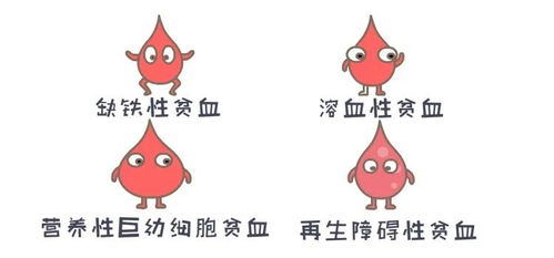 宝宝贫血,爸妈能做什么