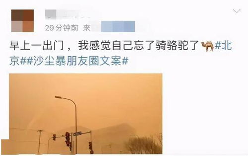 出门转一圈就是 出土文物 10年最强沙尘暴突袭北方,上海会 吃土 吗