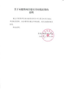 关于未提供项目建议书审批结果的说明