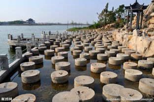 卤阳湖 石磨盘图片 