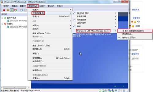 怎么在虚拟机下的Linux系统安装数据库(虚拟空间安装mysql)