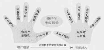 破解 “丰收悖论”