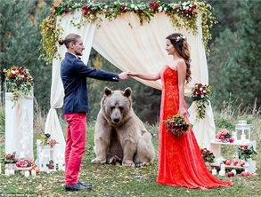 他们竟然邀请了一头真熊作婚礼的证婚人 
