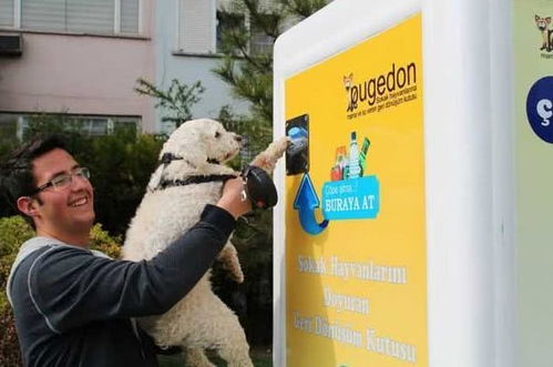 土耳其街头设立流浪动物喂食机,一个矿泉水瓶即可换狗粮