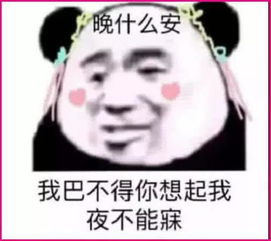 女生发一只熊表情怎么回复(女生发一只熊表情怎么回复幽默)