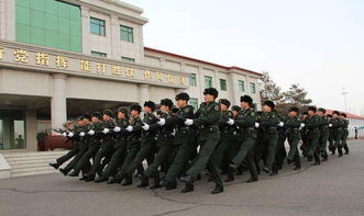 毕业论文,指挥,学院,陆军