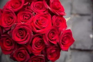 情人节,最美最惊艳的玫瑰送给你 