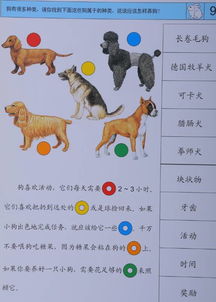 逻辑狗建议 当你的孩子处于这个年龄段,教育他们你要学会 10不 