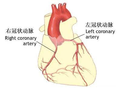 少女频发危象竟是 三明治 样畸形