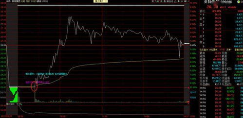 连着跌了好几个跌停，换手才一点，说明什么