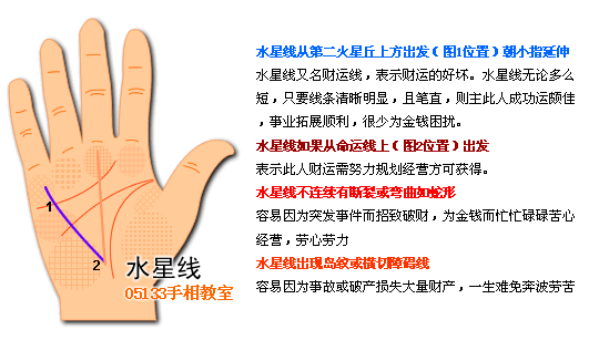 各类掌纹支线图解