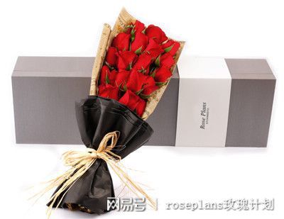 圣诞节可以送花给女朋友吗英语(圣诞节送花合适吗 知乎)