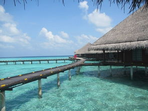 绚丽岛马尔代夫浪漫度假的最佳去处（马尔代夫丽世岛）