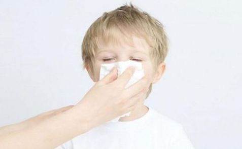 关注 过敏性鼻炎需高度提防这几项过敏原