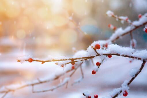 正月十五雪打灯啥意思 正月打雷下雪好不好