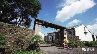 中国小山村用火山岩的荔枝竟上了日本NHK电视台 
