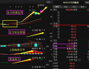 七大利好助推，预示2023年10月27日涨停板悄然传来