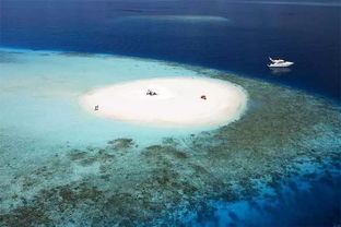 海岛 在马尔代夫与海洋深情相拥