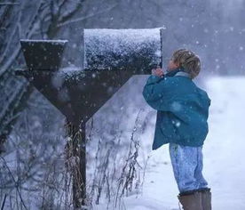 雪天拍照怎么拍才好看(怎么样加一个女生的微信)