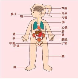 你给孩子的 性 教育,决定孩子的未来