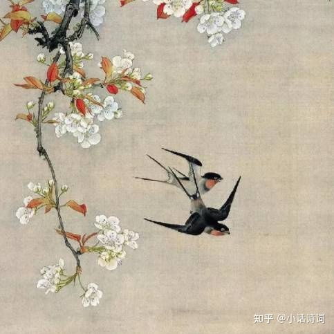 苏轼的这首 蝶恋花 ,名句纷呈,可是春光正好,他为何却说 天涯何处无芳草 ,他的烦恼又是什么 