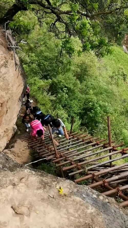 孩子们的必经之路,为了摆脱贫困的命运, 孩子们每天步行10公里去学校 