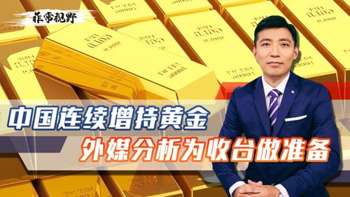 NGM币创始人是谁、雷达币创始人是谁是哪个国籍