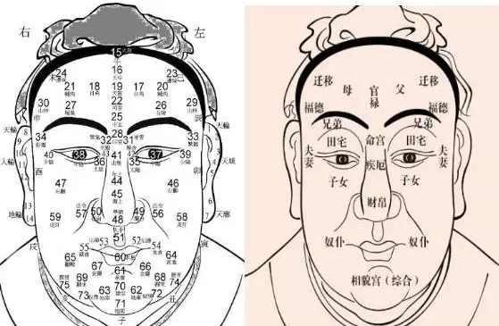 事业易遭失败,不易成功的面相特征有这些 