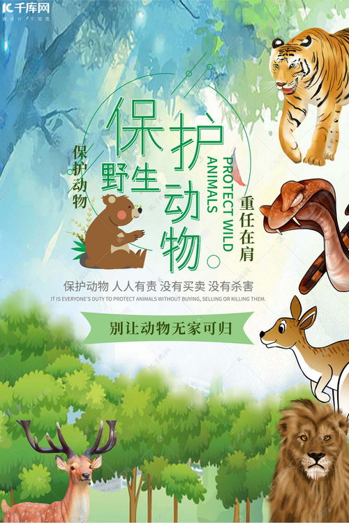 保护野生动物绿色创意海报海报模板下载 千库网 