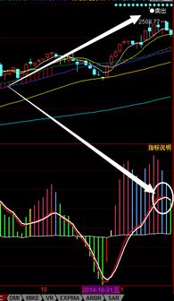 通达信 大盘指数作副图 指标编程代码！！