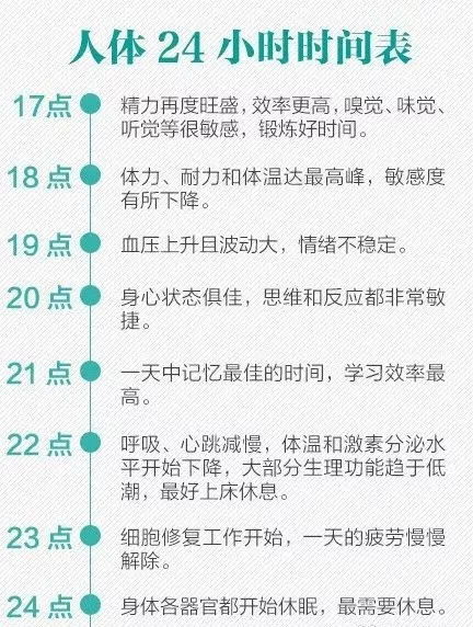 亿人财富 人体24小时养生时间表 