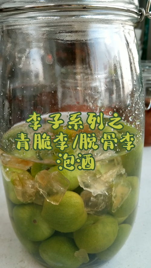 原来李子有这么多品种,感觉青脆李 也叫脱骨李 最好吃了,酸甜清脆,泡出来的酒应该也不差 李子酒 青脆李泡酒 果酒分享 