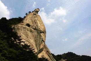 九九重阳节,登山赏秋才是标配 武汉周边最适合登山的地点请收好 