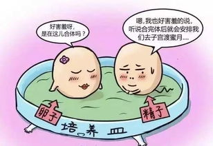 试管婴儿养囊要满足什么条件 有风险吗