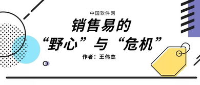 销售易的 野心 与 危机 中国软件网 CSDN博客 